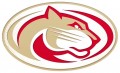 Tom Heesch