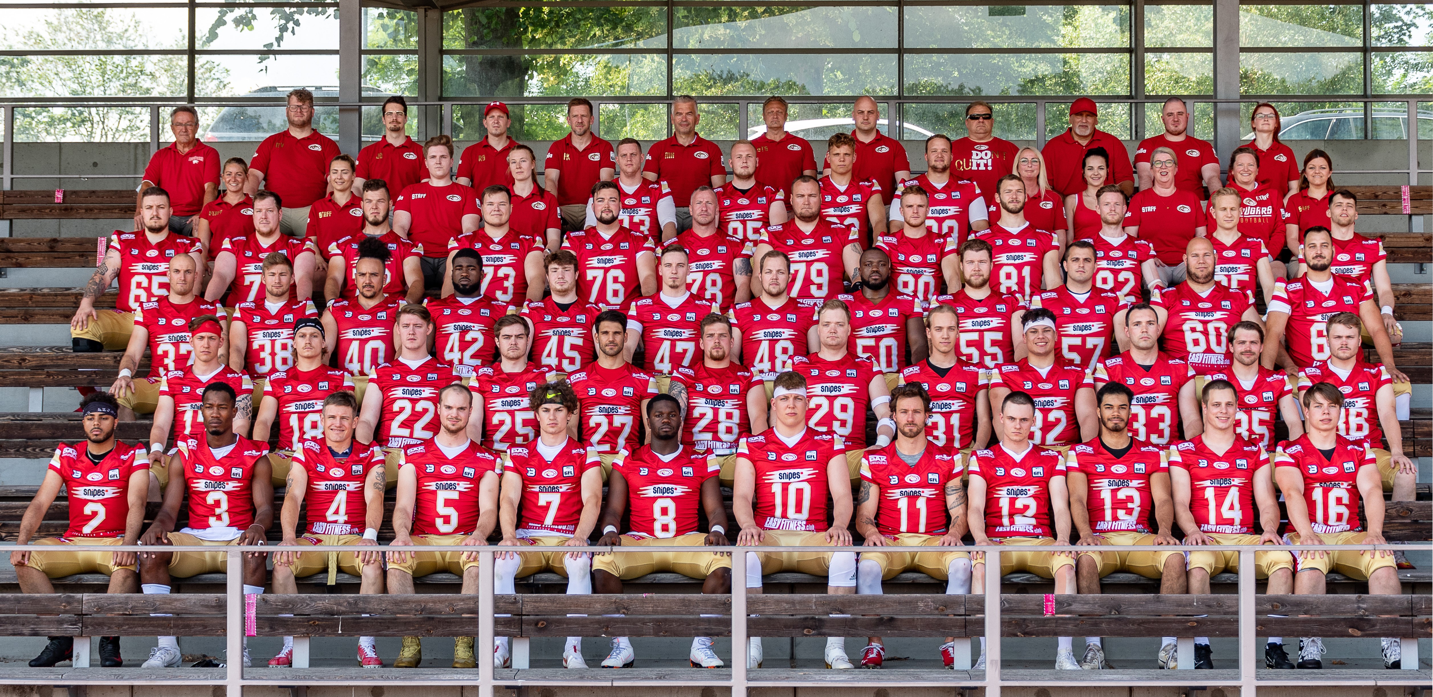 Cougars